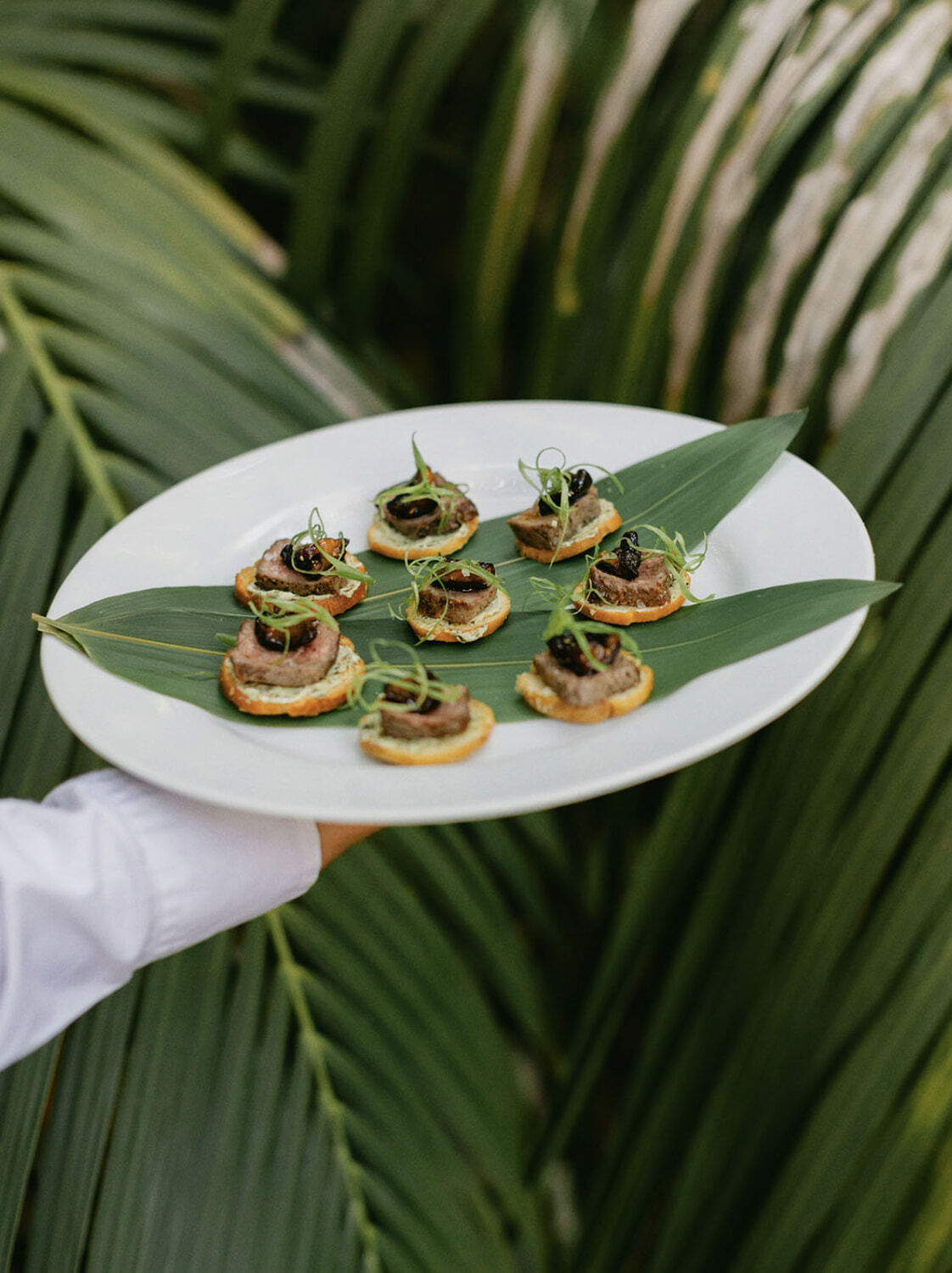 Artfully presented wedding hors d'oeuvres featuring seared beef crostini and fresh garnishes on a serving platter.
