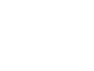 WPC Footer Logo